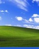 Windows XP